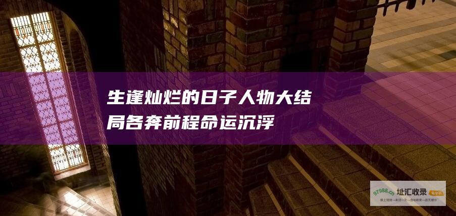 生逢灿烂的日子人物大结局各奔前程命运沉浮