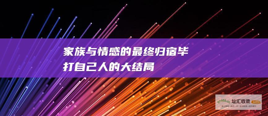 家族与情感的最终归宿毕打自己人的大结局
