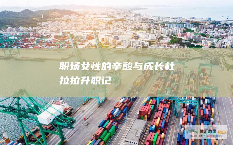 职场女性的辛酸与成长杜拉拉升职记