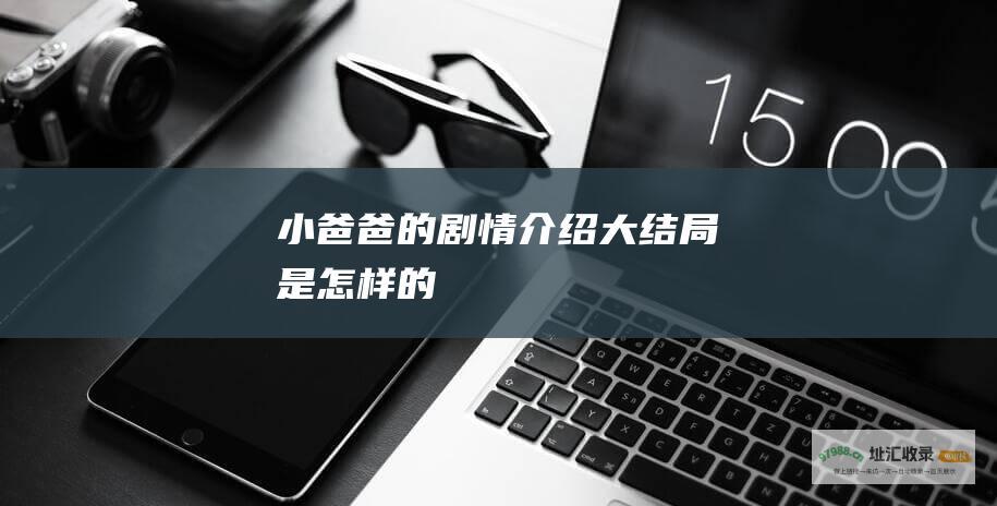 小爸爸的剧情介绍大结局是怎样的