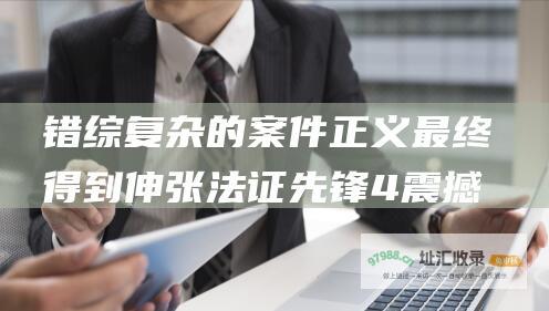 错综复杂的案件 正义最终得到伸张 法证先锋4 震撼大结局
