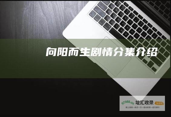 向阳而生剧情分集介绍