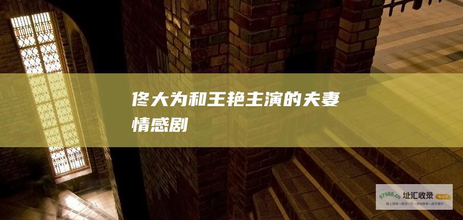 佟大为和王艳的夫妻情感剧