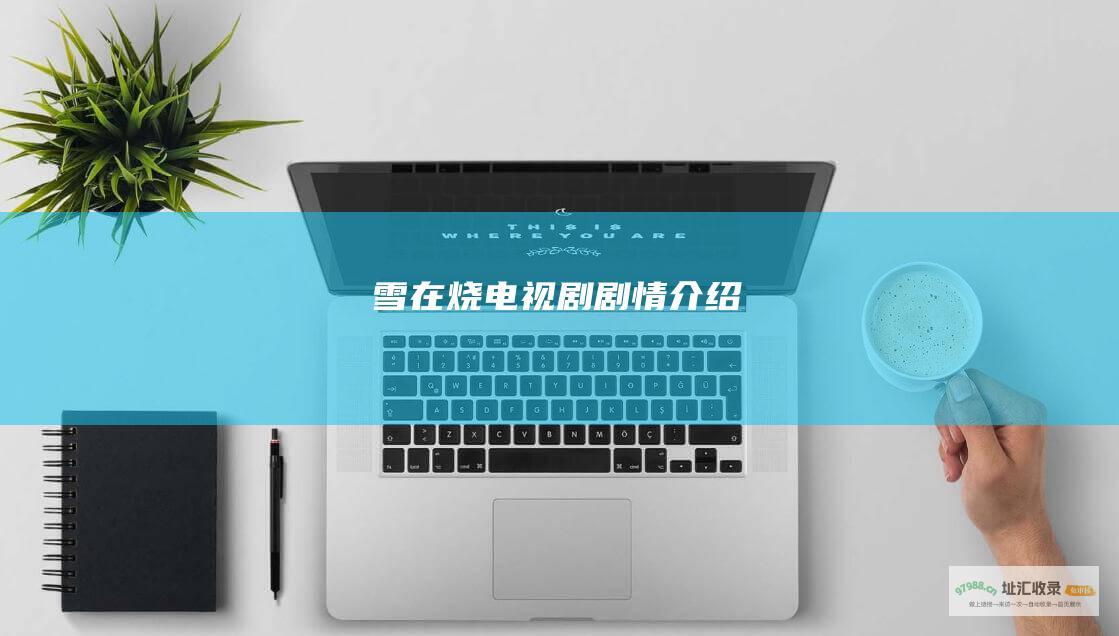 雪在烧电视剧剧情介绍