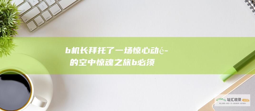 b机长拜托了一场惊心动魄的空中惊魂之旅b必须