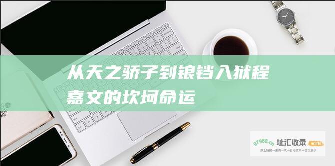 从天之骄子到锒铛入狱程嘉文的坎坷命运