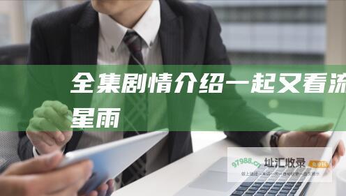 全集剧情介绍一起又看流星雨