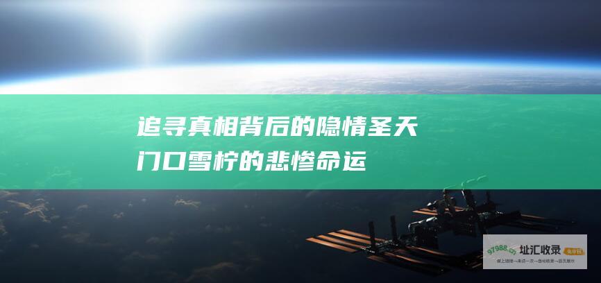 追寻真相背后的隐情 圣天门口雪柠的悲惨命运