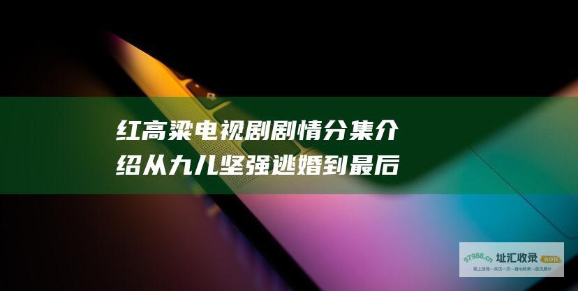 红高粱电视剧剧情分集介绍 从九儿坚强逃婚到最后的抢亲大战