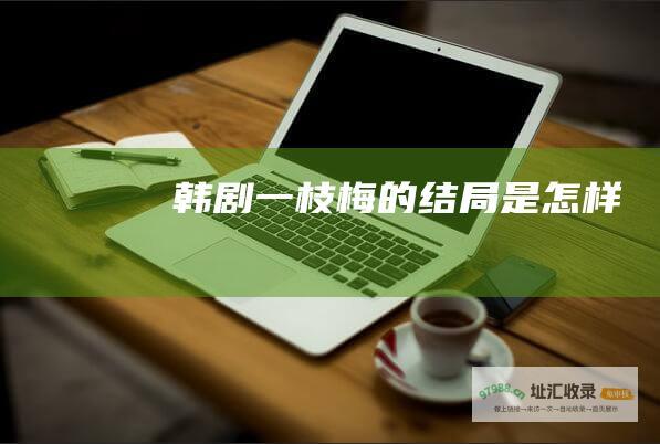 韩剧一枝梅的结局是怎样