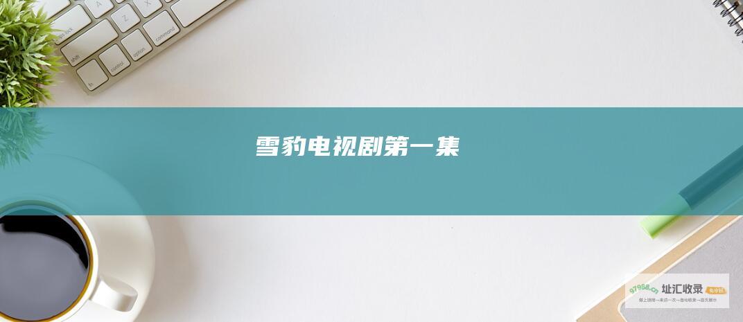 雪豹电视剧第一集