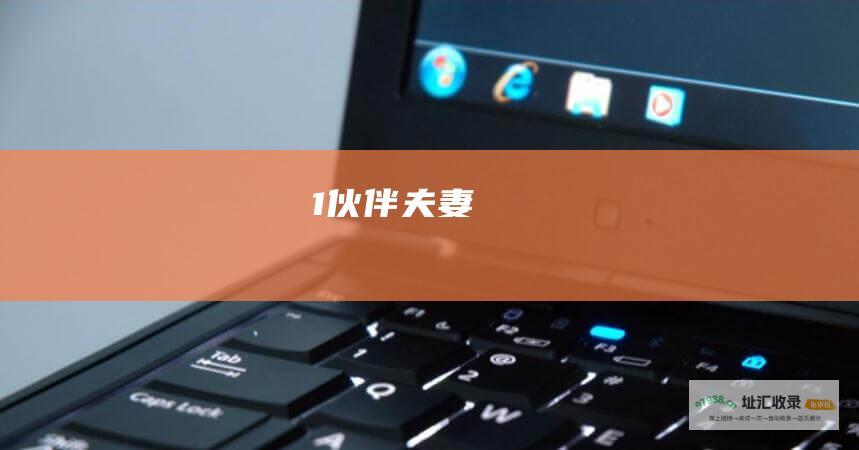 1 伙伴夫妻