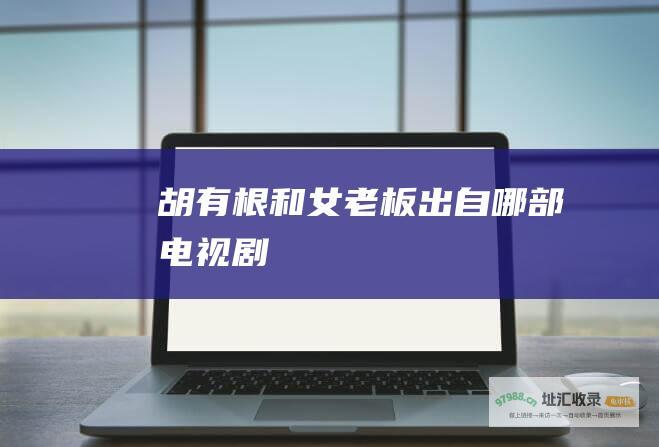 胡有根和女老板 出自哪部电视剧