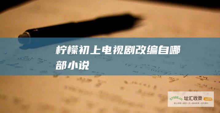 柠檬初上电视剧 改编自哪部小说