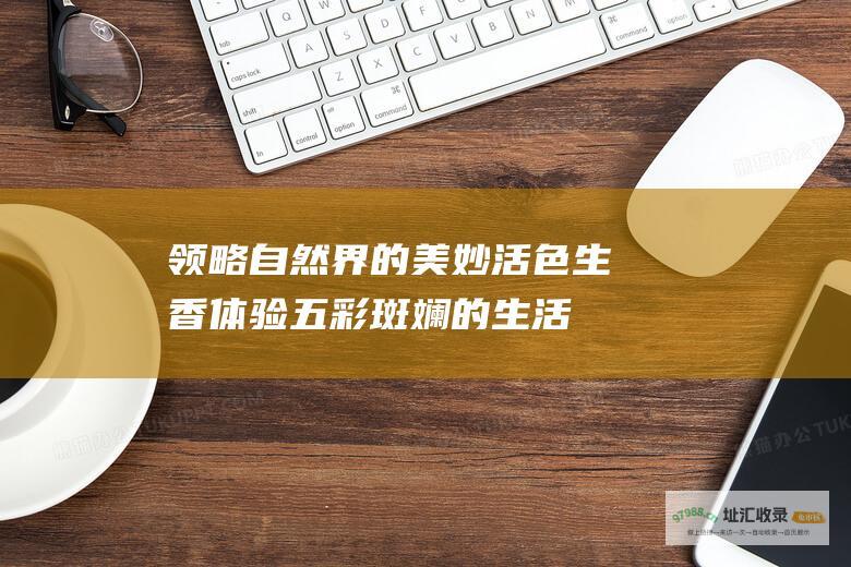 领略自然界的美妙活色生香体验五彩斑斓的生活
