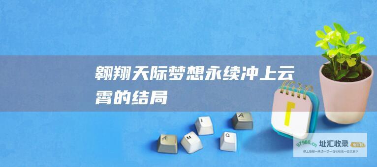 翱翔天际梦想永续冲上云霄的结局