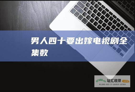 男人四十要出嫁电视剧全集数
