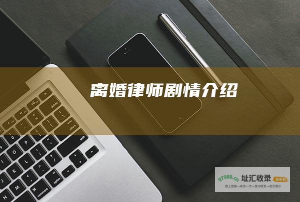 离婚律师剧情介绍