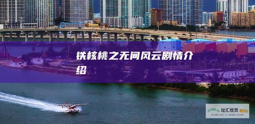 铁核桃之无间风云剧情介绍
