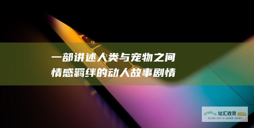 一部讲述人类与宠物之间情感羁绊的动人故事 剧情简介 宠物情人