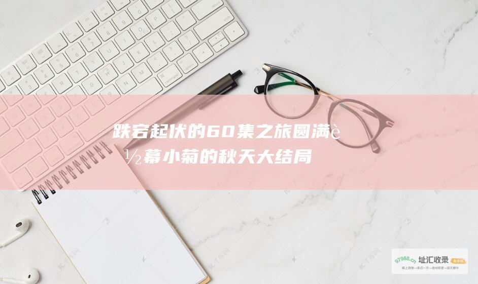 跌宕起伏的60集之旅圆满落幕小菊的秋天大结局