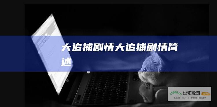 大追捕剧情大追捕剧情简述