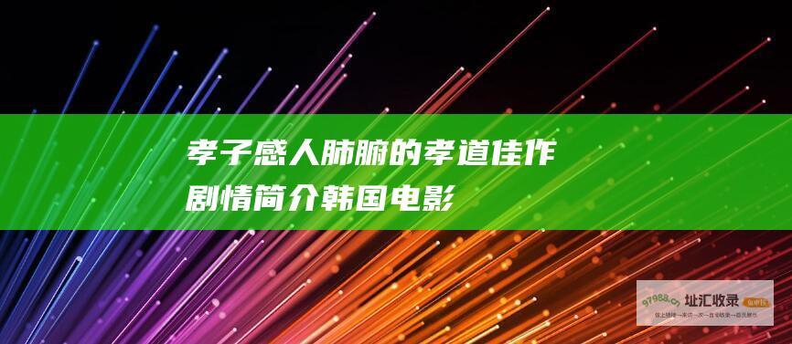 孝子感人肺腑的孝道佳作剧情简介韩国电影