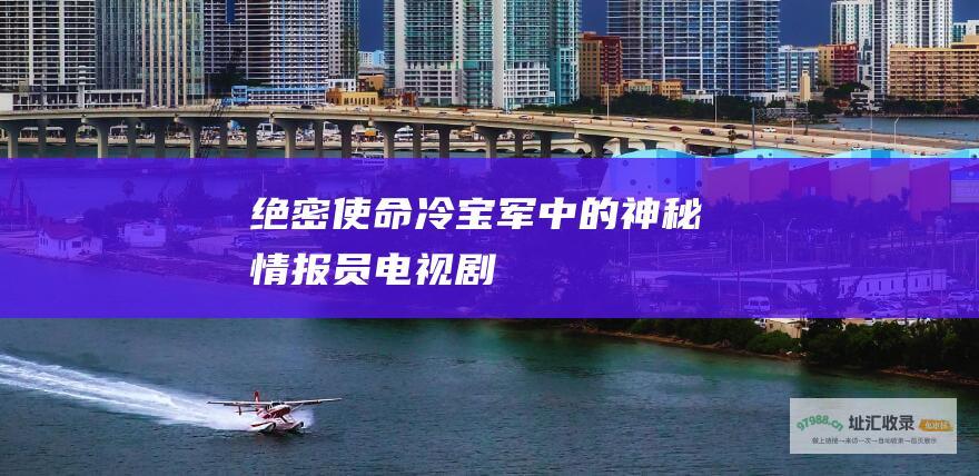 绝密使命 冷宝军 中的神秘情报员 电视剧