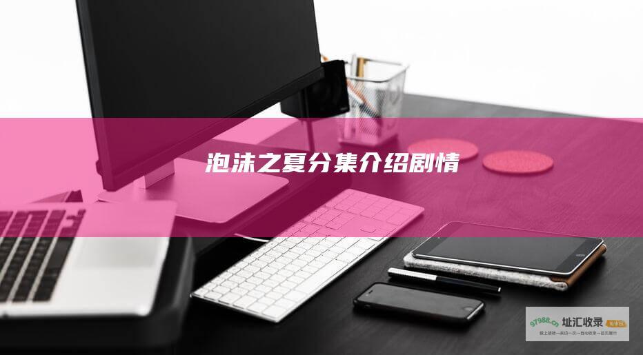 泡沫之夏分集介绍剧情