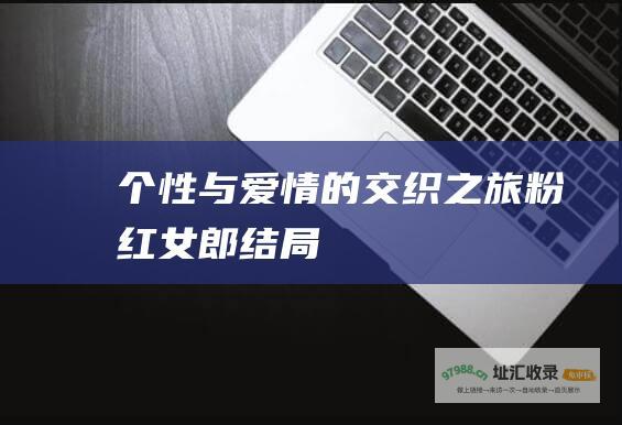 个性与爱情的交织之旅粉红女郎结局