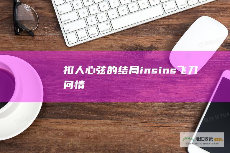 扣人心弦的结局insins飞刀问情