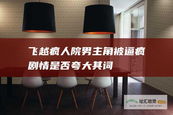 飞越疯人院 男主角被逼疯 剧情是否夸大其词