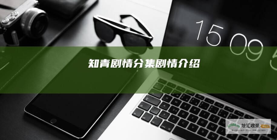 知青剧情分集剧情介绍