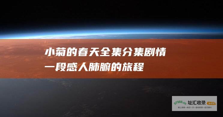 小菊的春天全集分集剧情一段感人肺腑的旅程