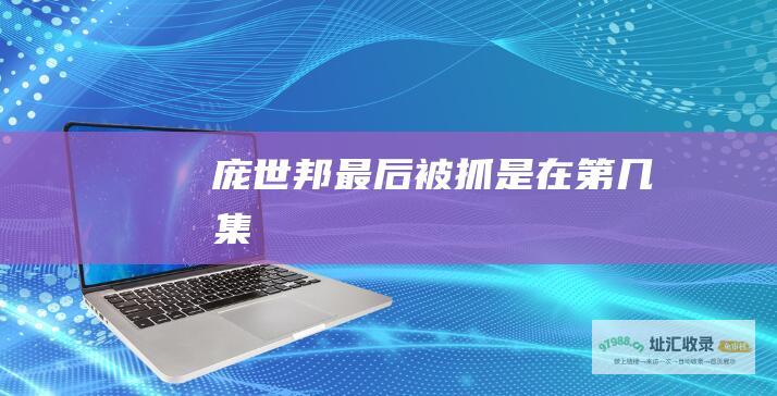 庞世邦最后被抓是在第几集