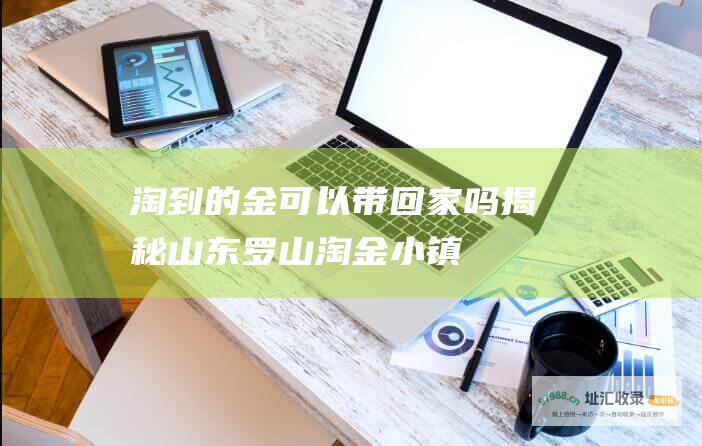 淘到的金可以带回家吗 揭秘山东罗山淘金小镇