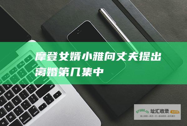 摩登女婿小雅向丈夫提出离婚第几集中