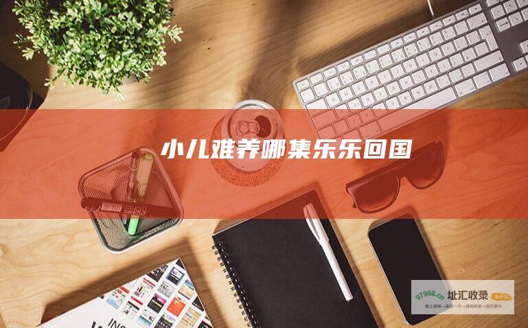 小儿难养哪集乐乐回国