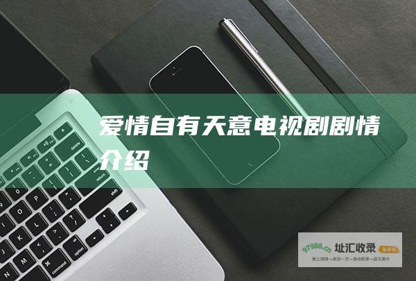 爱情自有天意电视剧剧情介绍
