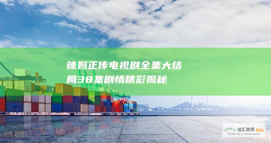 辣妈正传电视剧全集大结局38集 剧情精彩揭秘！