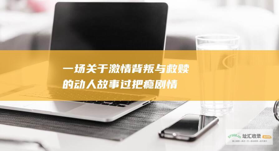 一场关于激情背叛与救赎的动人故事过把瘾剧情