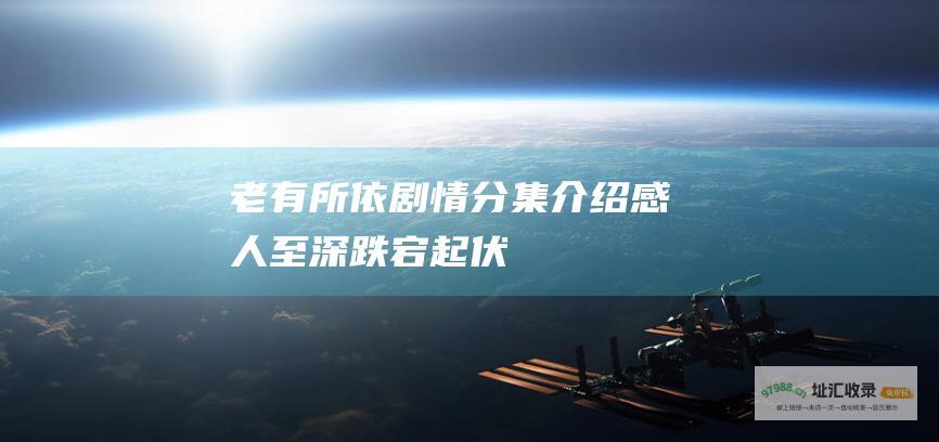 老有所依剧情分集介绍 感人至深 跌宕起伏
