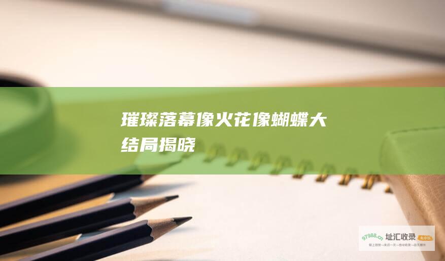 璀璨落幕 像火花像蝴蝶 大结局揭晓