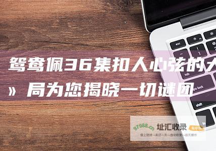 鸳鸯佩36集扣人心弦的大结局为您揭晓一切谜团