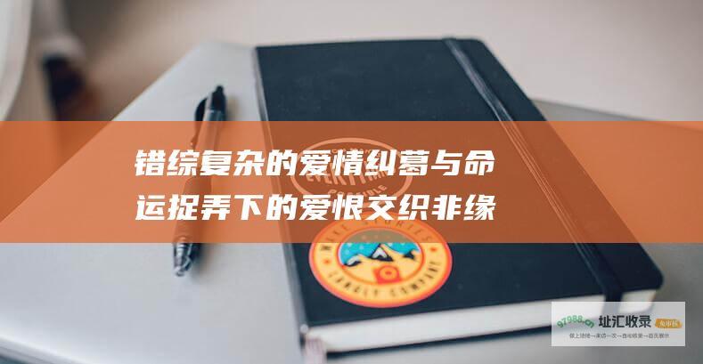 错综复杂的爱情纠葛与命运捉弄下的爱恨交织 非缘勿扰电视剧跌宕起伏的剧情