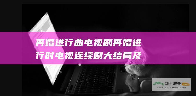 再婚进行曲电视剧再婚进行时电视连续剧大结局及