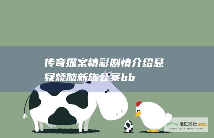 传奇探案 精彩剧情介绍 悬疑烧脑 新施公案 b b