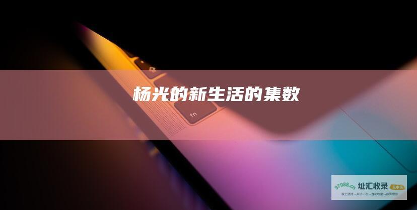 杨光的新生活的集数