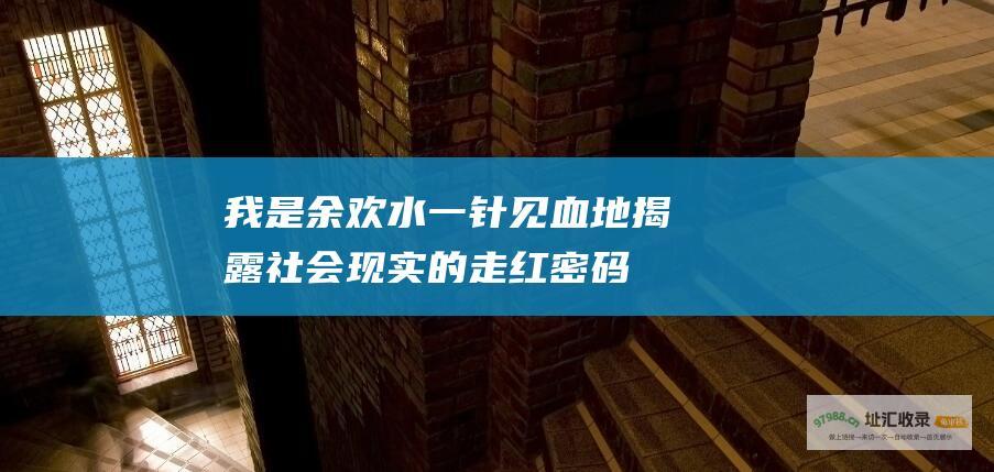 我是余欢水 一针见血地揭露社会现实 的走红密码