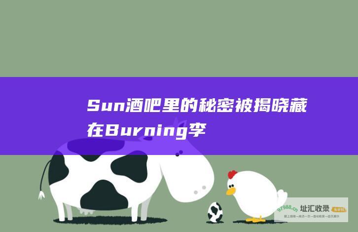 Sun酒吧里的秘密被揭晓 藏在Burning 李胜利被向佐骂上热搜 设计师要坐不住了……
